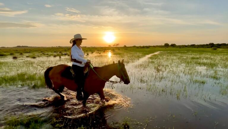 safari-llanero-en-casanare-colombia